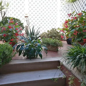Casa vacanze Da Francesca A Pisa
